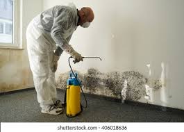 Best Industrial Mold Remediation  in Eastmont, WA